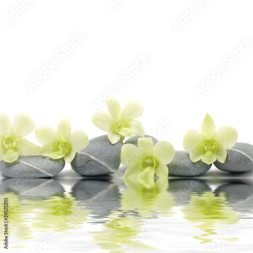 Fototapeta Naklejka Na Ścianę i Meble -  beautiful orchid on zen stones with reflection