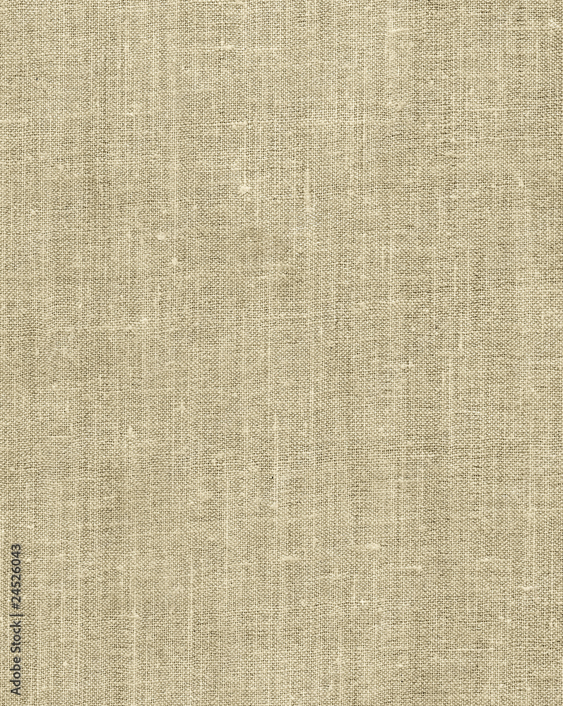 Fototapeta premium Canvas background