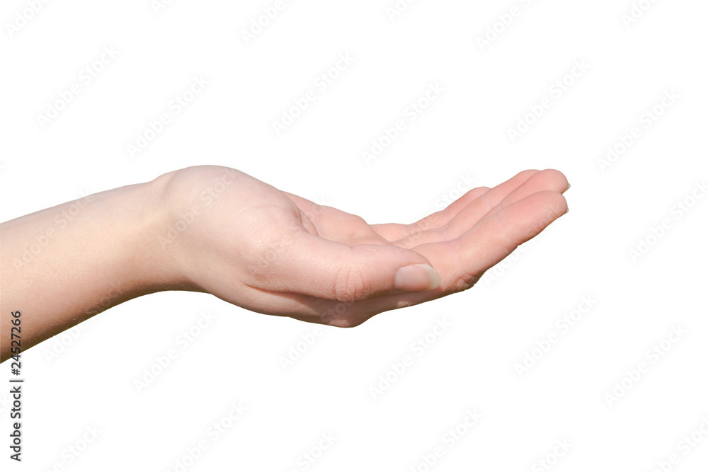 Hand Hand