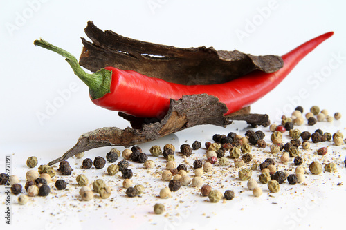 Chili mit Pfeffer20