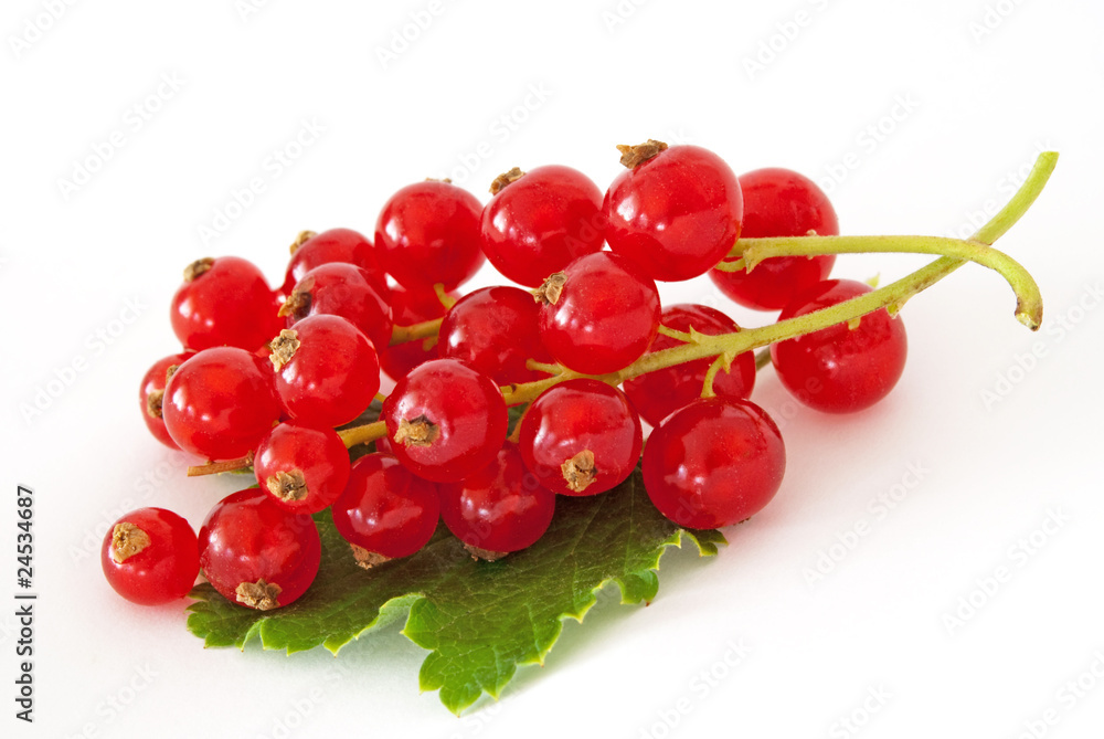 Johannisbeeren