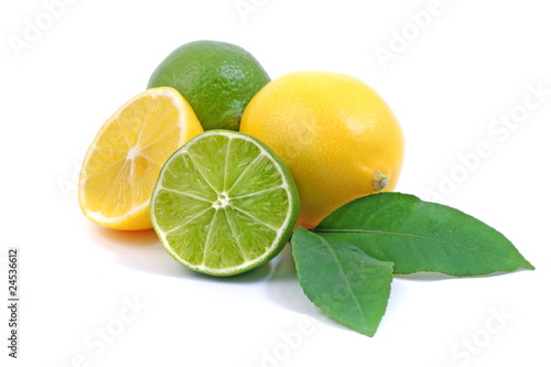 Arrangement mit Zitrusfrüchten/citrus fruits