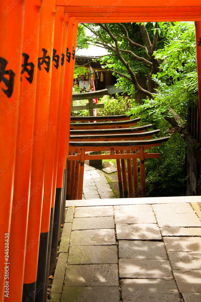 Obraz premium Orange Japanese Arches leading to Temple