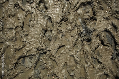 wattenmeer - schlick