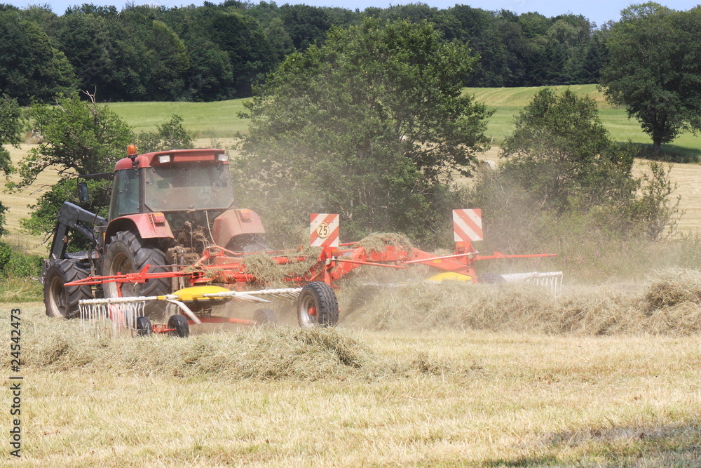 Φωτογραφία Raking hay ready for baling