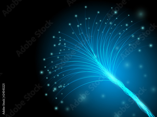 optic fibers