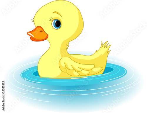 Swimming Duckling