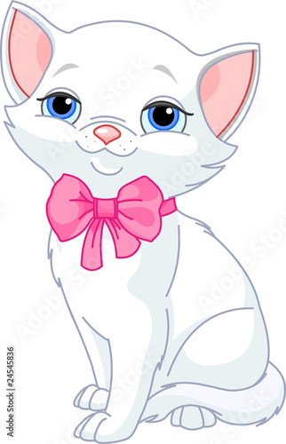 Very Cute white cat