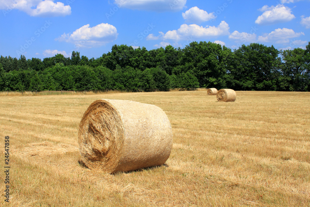 hay bale cornfield trees blue sky white clouds hay bale cornfield trees blue sky white clouds
