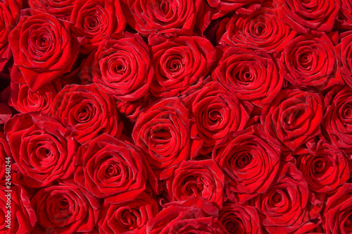 Rote Rosen, Symbol für Liebe, Rosenstrauß