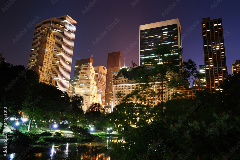 Fototapeta premium New York City Central Park