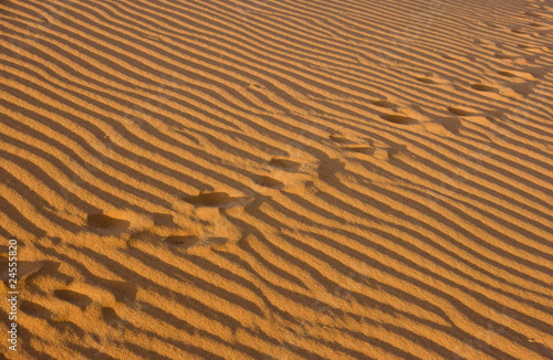 sand ripple texture