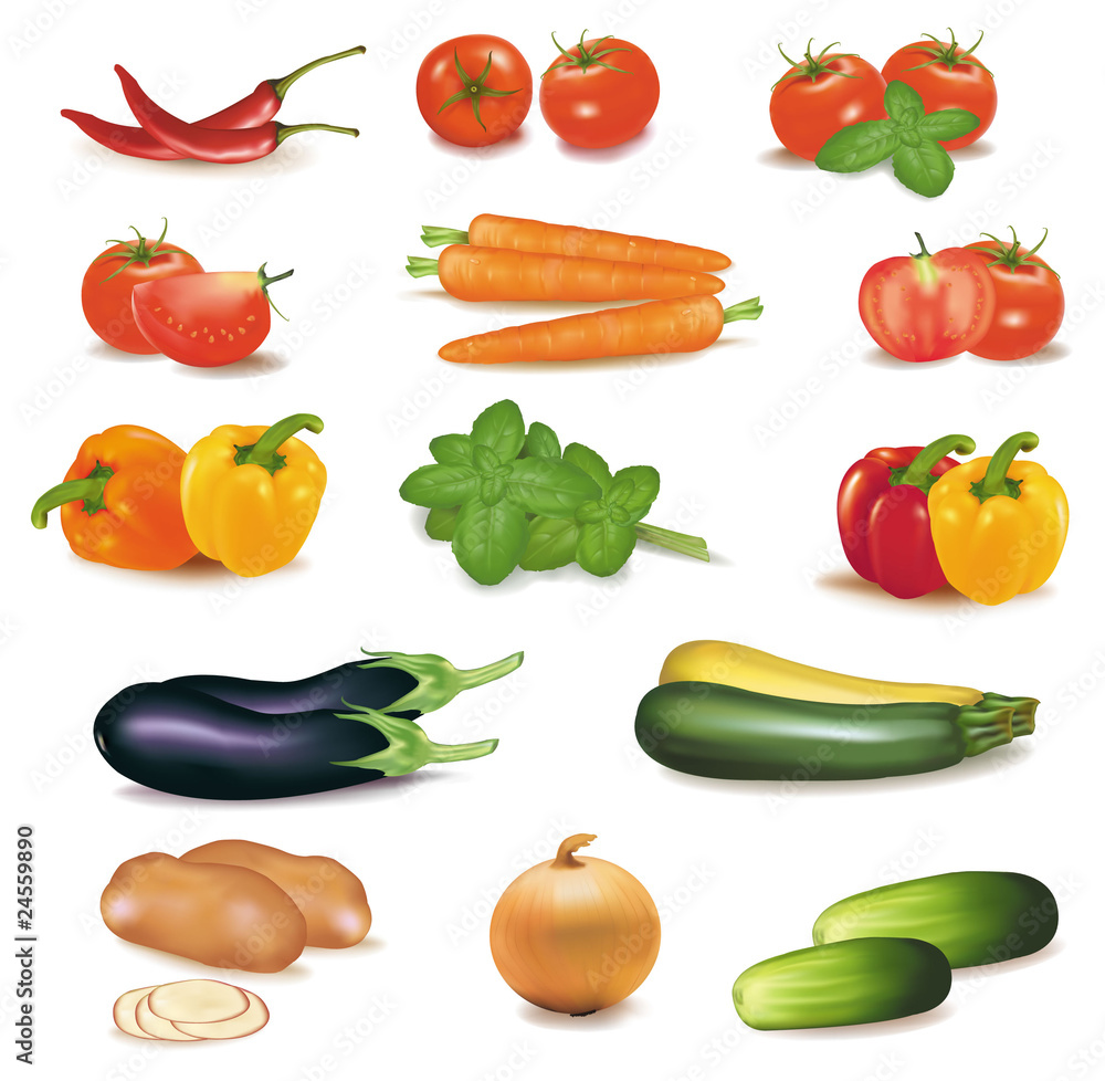 The big group of vegetables. Photo-realistic vector. The big group of vegetables. Photo-realistic vector.