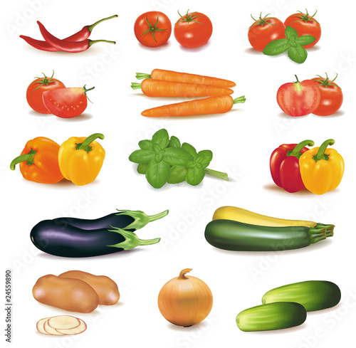 The big group of vegetables. Photo-realistic vector.