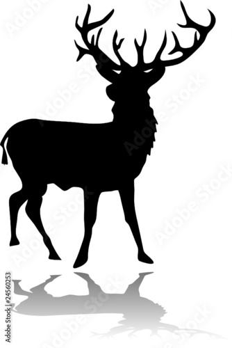 deer black silhouette
