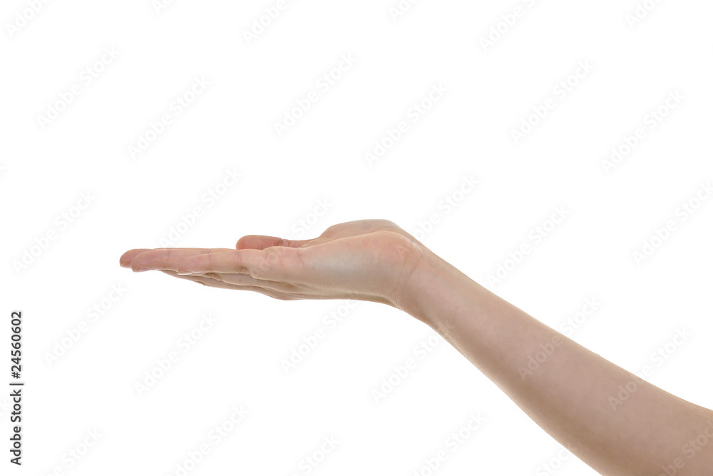 Freigestellte Hand präsentiert Freigestellte Hand präsentiert