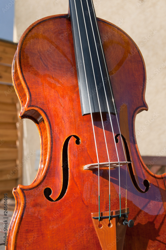 Violin Violin