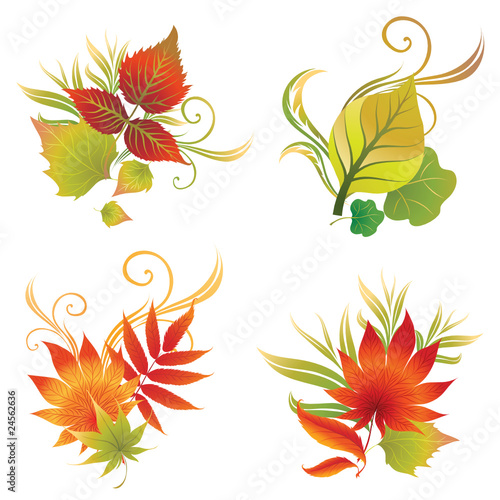 set of autumn leafs design elements. Thanksgiving