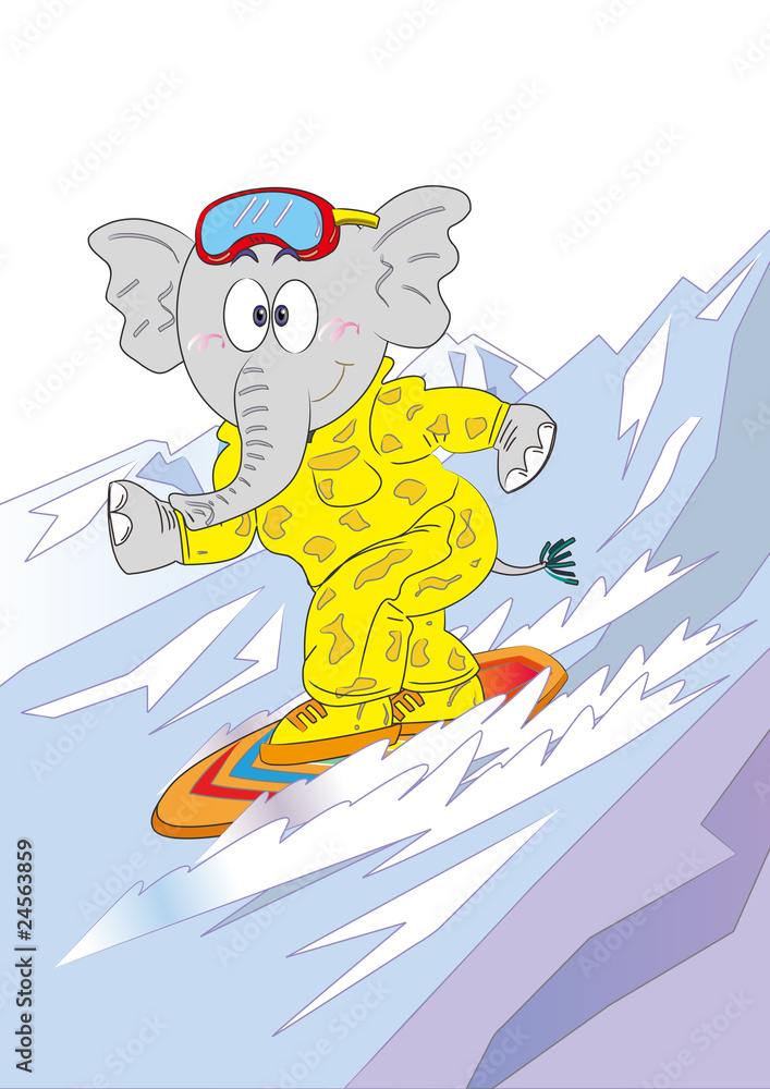 Obraz Snowboard dla słonia