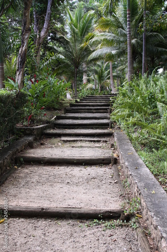 Coyaba Gardens in Ocho Rios auf Jamaica © Christian Colista