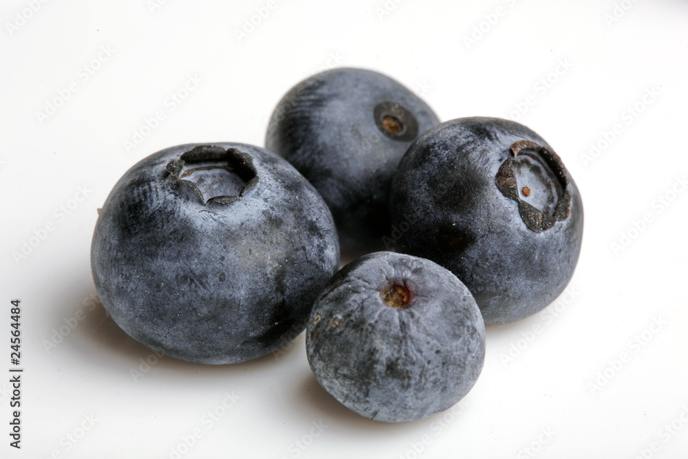 Heidelbeere, Blaubeere, formatfüllend Heidelbeere, Blaubeere, formatfüllend