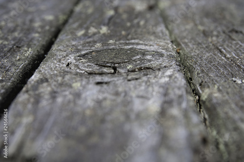 Detail from an Old Wooden Deck