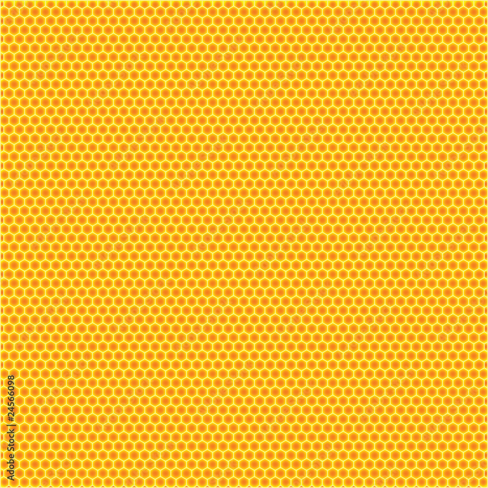 honey background honey background