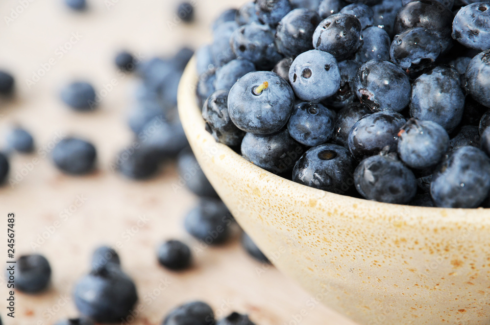 Tonschale mit Heidelbeeren Tonschale mit Heidelbeeren