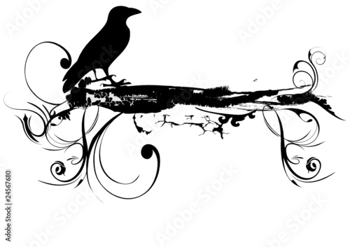 corbeau