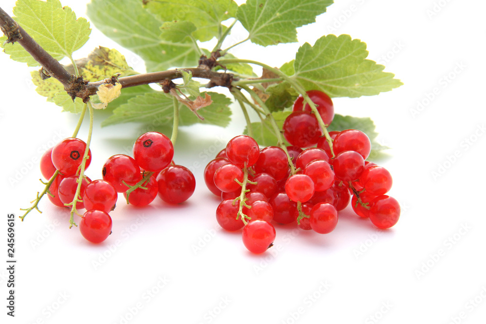 Groseilles Groseilles