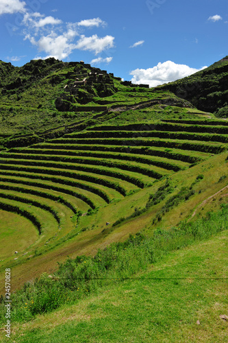 Terrace landscape in sacred Valley in Cuzco