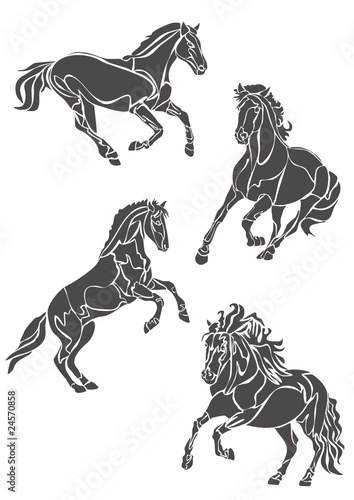 Кони / Horses