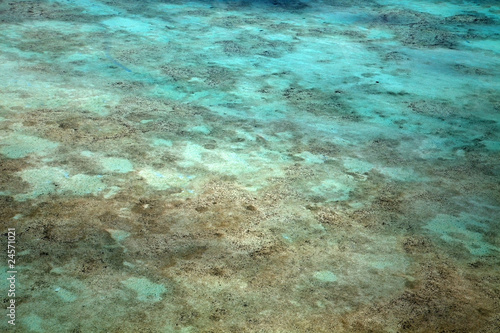 Wielka Rafa Koralowa