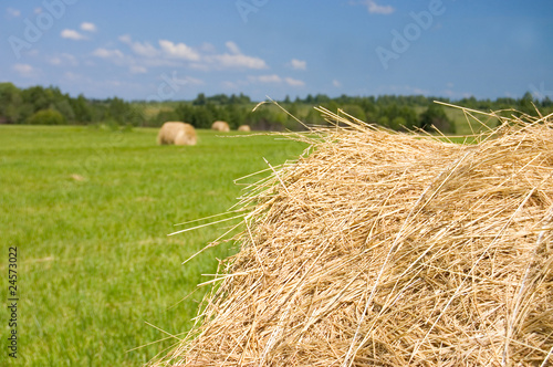 Fototapeta haystacks harvest against the skies