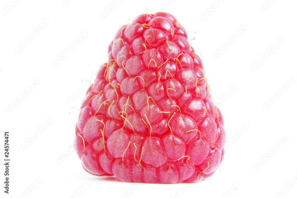 raspberry raspberry