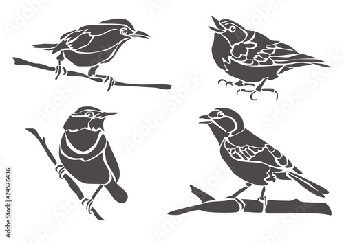 Птицы / Birds