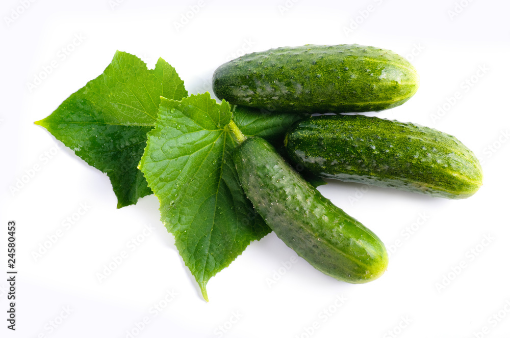 Cucumbers on white background with green leaf Cucumbers on white background with green leaf