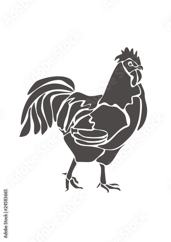 Петух / Rooster