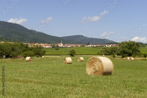 фотографія village de heiligenstein en alsace