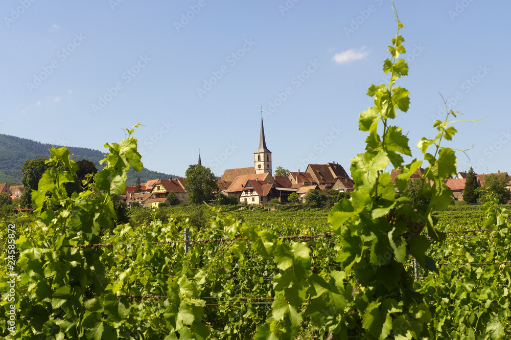 village de mittelbergheim en alsace