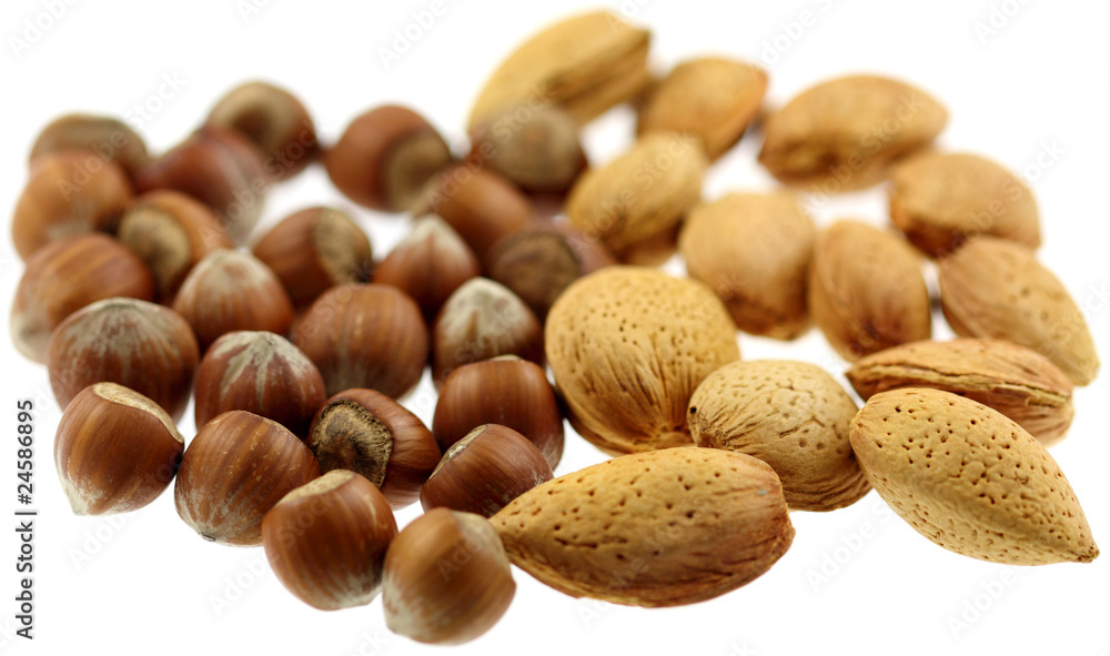 Obraz premium noisettes et amandes, fond blanc