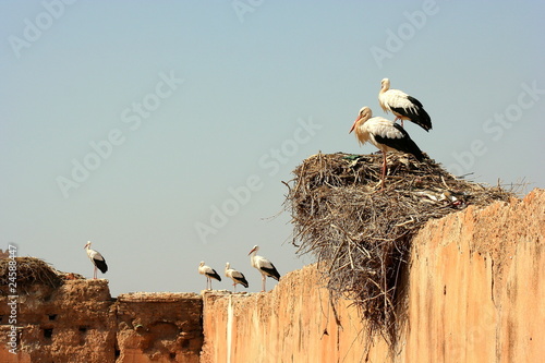 Marruecos Marrakech
