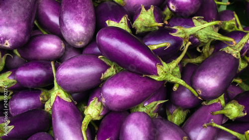 Eggplant purple photo