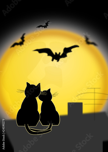 Katzenliebe