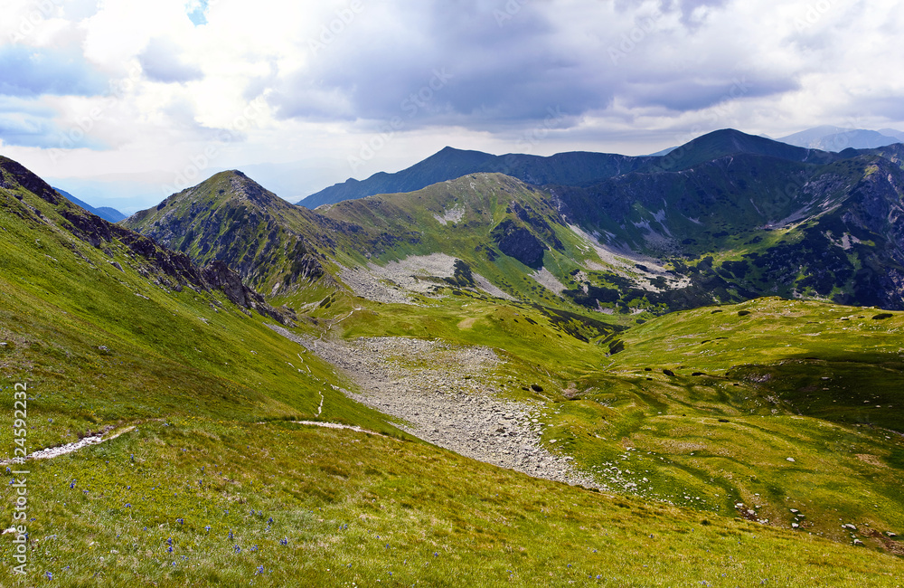 Alpine meadow