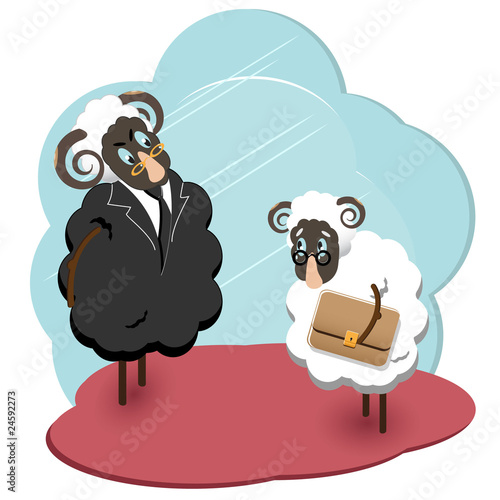 sheeps