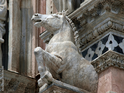 Architectural details of Duomo facade - Siena,Tuscany © wjarek