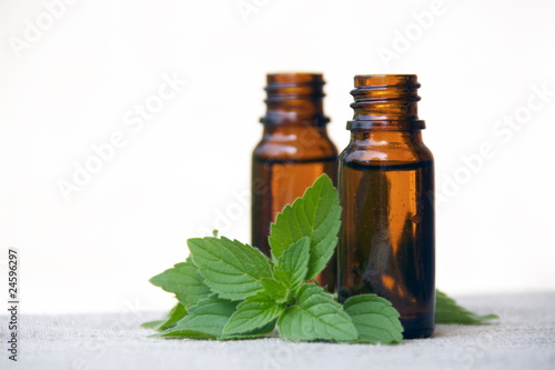 Aroma Oil in Bottles with Mint