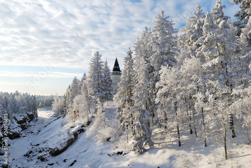Ancient forest in Imatra
