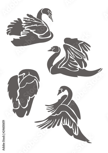 Лебеди / Swans